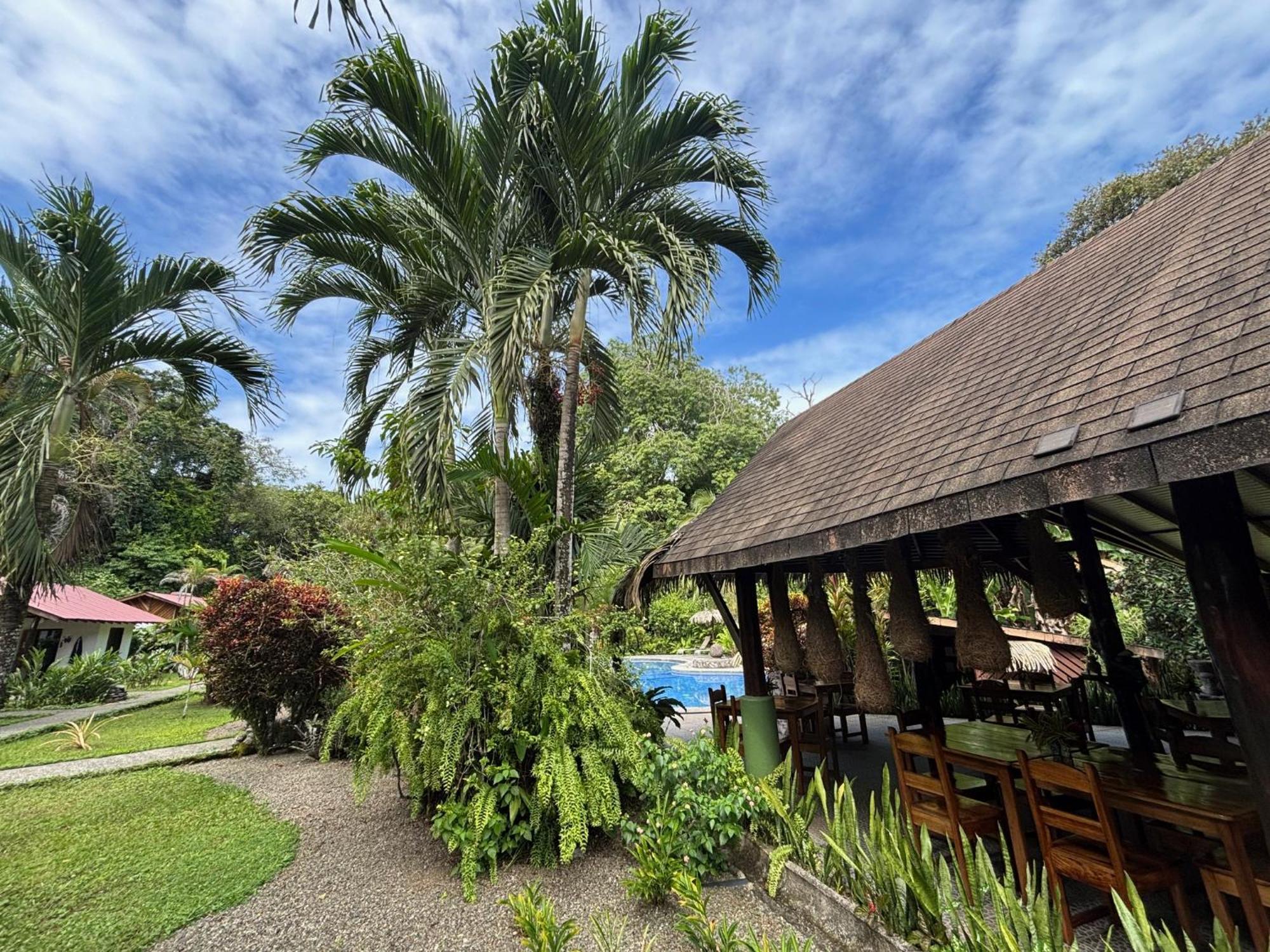 קאוויטה Hotel Suizo Loco Lodge & Resort מראה חיצוני תמונה