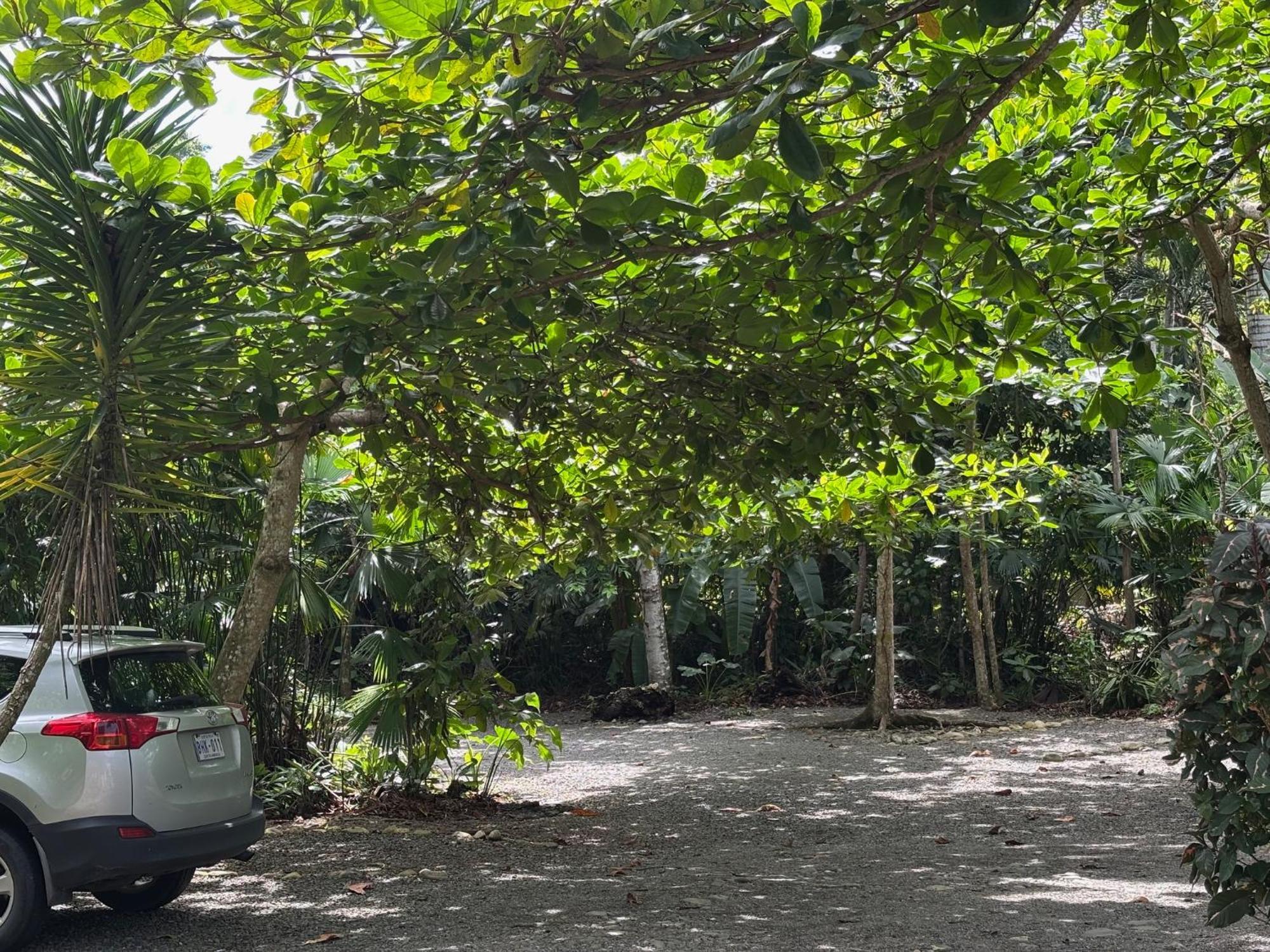 קאוויטה Hotel Suizo Loco Lodge & Resort מראה חיצוני תמונה