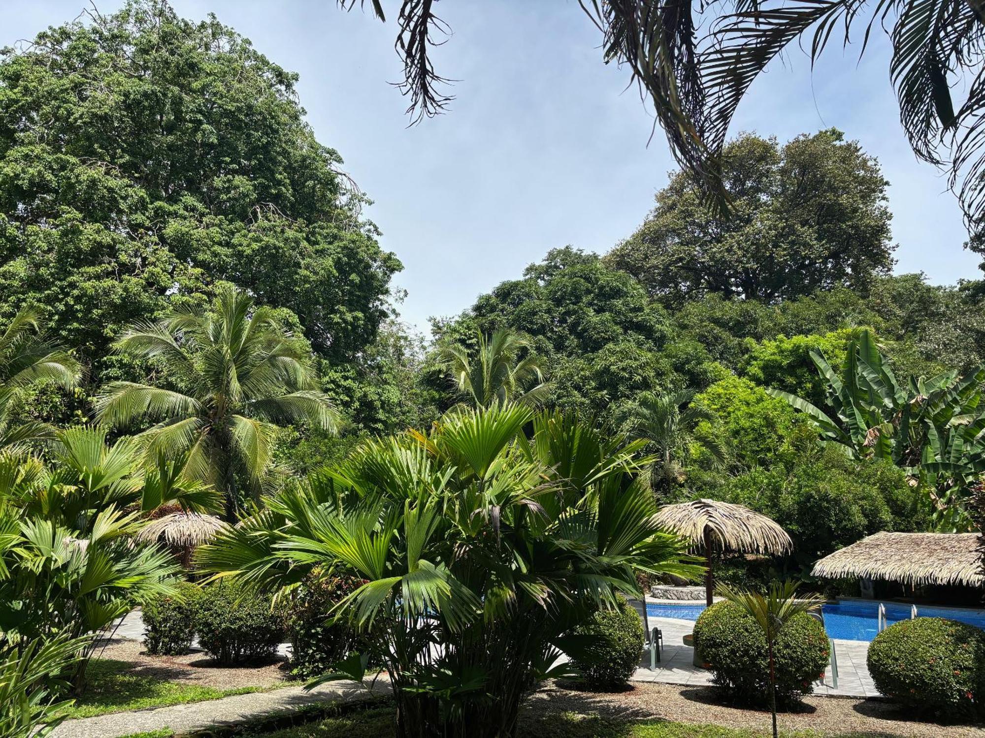 קאוויטה Hotel Suizo Loco Lodge & Resort מראה חיצוני תמונה