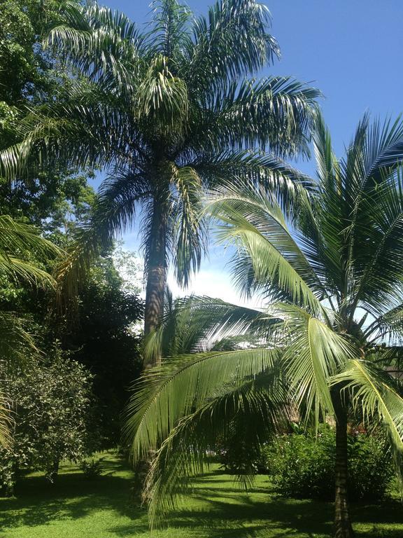קאוויטה Hotel Suizo Loco Lodge & Resort חדר תמונה